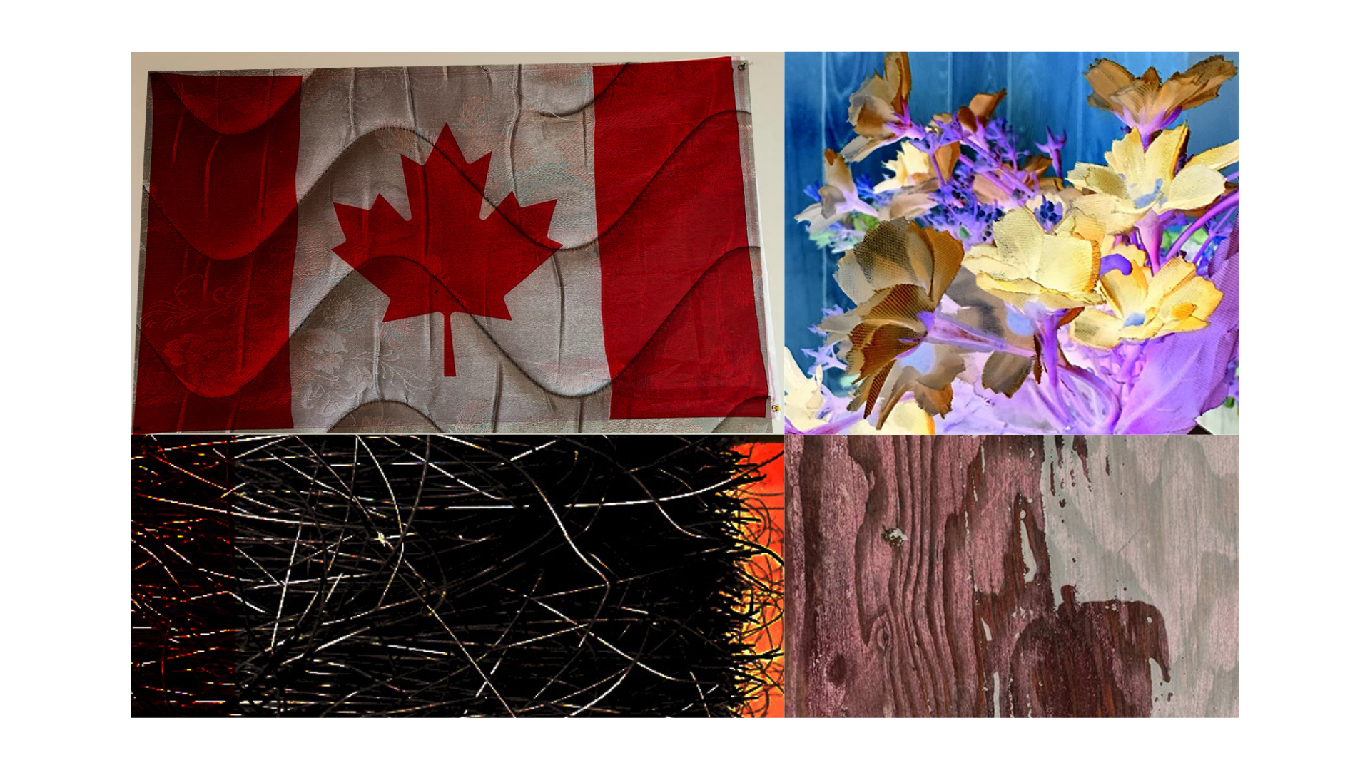 Four-panel collage: a rippled Canadian flag, mesh-textured flowers, black scratchy lines, and dripping wood grain.